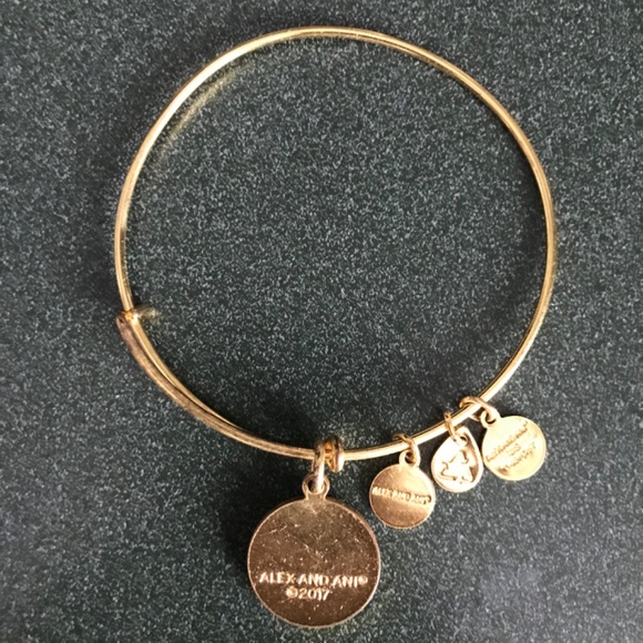 Alex and Ani Expandable Wire Bracelet - Picture 3 of 13